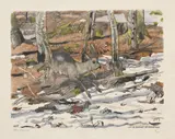 Robert Hainard, Chevreuil en bois de velours