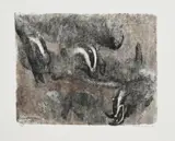 Robert Hainard, Jeux de blaireaux, 1987, bois gravé
