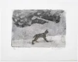 Robert Hainard, Lynx avant l'aube, 1988, bois gravé sur papier Japon