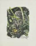 Jeune hérisson mangeant une prune by Robert Hainard, 1986, bois gravé, sold Jun 2023