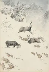 Xavier de Poret, 3 chamois dans la neige, 1972, fusain et aquarelle sur papier
