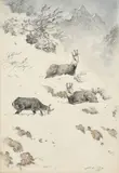 Xavier de Poret, 3 chamois dans la neige, 1972, fusain et aquarelle sur papier