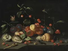 Jacob Marrel, Nature morte aux fruits et aux coquillages, 1677, huile sur toile