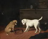 William Barraud, Chiens jouant avec rats dans une cage, 1840,huile sur toile