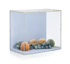 Pavlos Dionyssopoulos, Nature morte aux fruits, 1976, technique mixte (papier, bois peint, plexiglas)