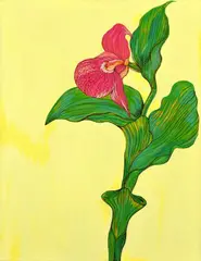 Teren Laco, Cypripedium parviflorum, 1999, akryl na plátne