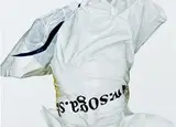 Marcel Mališ, Lebensraum Advert (SOGA), 2009, olej na plátne