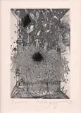 Karol Ondreička the Younger, O radosti, 1999, lept na papieri