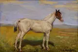 A. Bárta, Biely kôň, okolo 1950, pastel na papieri