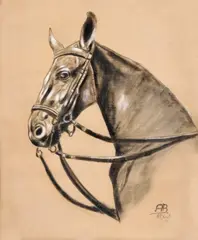 A. B. Monogramista, Štúdia konskej hlavy, 1885, kresba uhľom, belobou na papieri