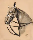A. B. Monogramista, Štúdia konskej hlavy, 1885, kresba uhľom, belobou na papieri