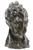 Hlava ženy (Fernande) by Pablo Picasso, neskoršia edícia diela z roku 1909, bronz, sold Mar 2009