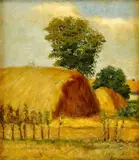 Gyula Zorkóczy, Kopy sena