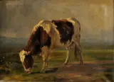 Géza Vastagh, Kravička, okolo 1900, olej na plátne
