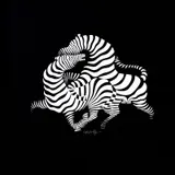 Victor Vasarely, Zebry