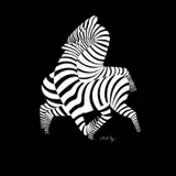 Viktor Vasarely, Zebry II., okolo 1970, serigrafia na papieri