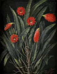 Eduard Majsch, Kvitnúci kaktus, 1904, olej na kartóne