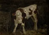 Aladár Edvi Illés, Kravička, okolo 1900, olej na kartóne