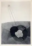 Jiří John, Pole, 1967, suchá ihla a papieri (1/30)