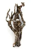 Ilja Bartoš Peter Bartoš, Memento "bol vyvrátený s koreňom z tatranskej pôdy", 2007, readymade