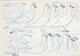 Peter Bartoš, Holuby, 1970-2003, kresba perom, fixkou na papieri