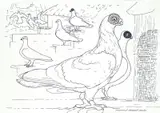 Peter Bartoš, Vyhynulý Pražský indián (postkoncept), 2007, kresba fixkou na papieri