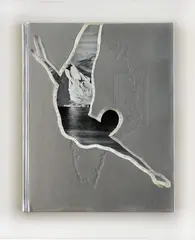 Martin Derner, Arktische Riviera, 2006, objekt-kniha