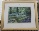 Andrew Dandridge, Sunlight on the Bluebells