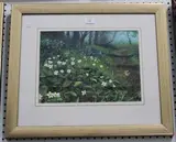 Andrew Dandridge, Primroses