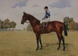 Isaac J. Cullin, Woolwinder' (Study of the Racehorse with Jockey-up), watercolour