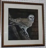Joshua Reynolds, Study of a Barn Owl