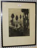 Albany E. Howarth, Valley of the Tiber, monochrome etching