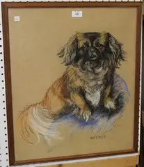 Truda Panet, Beebee' (Study of a Pekinese), pastel and charcoal