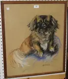 Truda Panet, Beebee' (Study of a Pekinese), pastel and charcoal