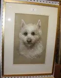 Donald Ross, Julie' (Portrait Study of the Terrier), 1979, pastel