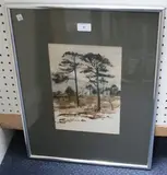 Birgitte Brondum-Neilsen, Pine Trees, Glen Affric, watercolour and charcoal