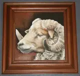 Katie Wilkins, Study of a Ram's Head, oil on board