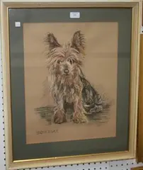 Truda Panet, Squeegee' (Study of the Yorkshire Terrier), pastel and charcoal