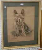 Truda Panet, Squeegee' (Study of the Yorkshire Terrier), pastel and charcoal