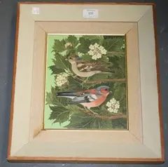 Sheila Flinn, Study of a Male and a Female Chaffinch, oil on artist's board