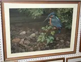 Robert Nicholls, Study of a Kingfisher above a River, pastel
