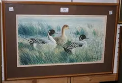 Richard Allan, Study of Ducks, watercolour