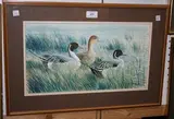 Richard Allan, Study of Ducks, watercolour