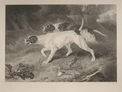 Thomas Landseer, Study of Two Pointers in a Landscape, monochrome engraving on India paper mounted