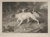 Thomas Landseer, Study of Two Pointers in a Landscape, monochrome engraving on India paper mounted