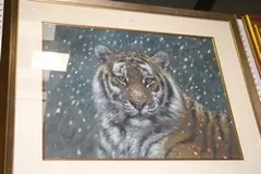Joel Kirk, Portrait Study of a Tiger in Snow, pastel
