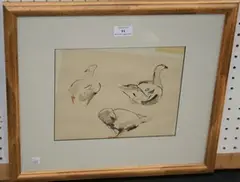 Bella Pieroni, Study of Geese, watercolour and ink