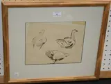 Bella Pieroni, Study of Geese, watercolour and ink