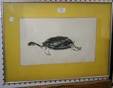 Heinz Inlander, Tortoise, charcoal drawing
