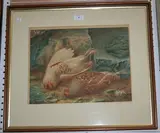 Mary Elizabeth Duffield, Study of Two Fallen Birds in a Naturalistic Setting, watercolour